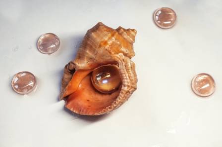 Classic French Escargot with Garlic and Parsley Butter