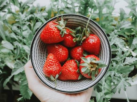 10 Creative Ways to Use Strawberry Tops