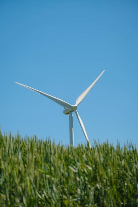 Nature’s Powerhouse