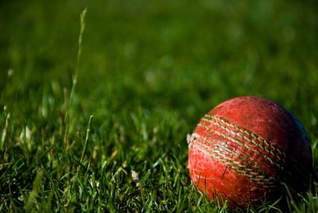 Cricket Strategy & Tactics: Mastering the Game’s Mental Chess
