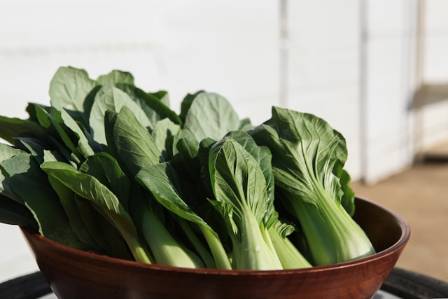Top 10 Delicious Ways to Enjoy Bok Choy