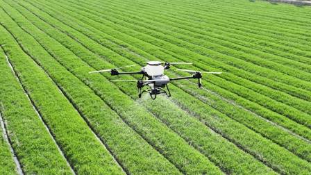 Drone Spraying in Agriculture
