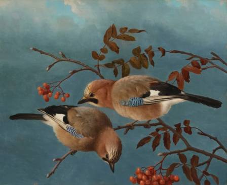 Famous Bird Paintings