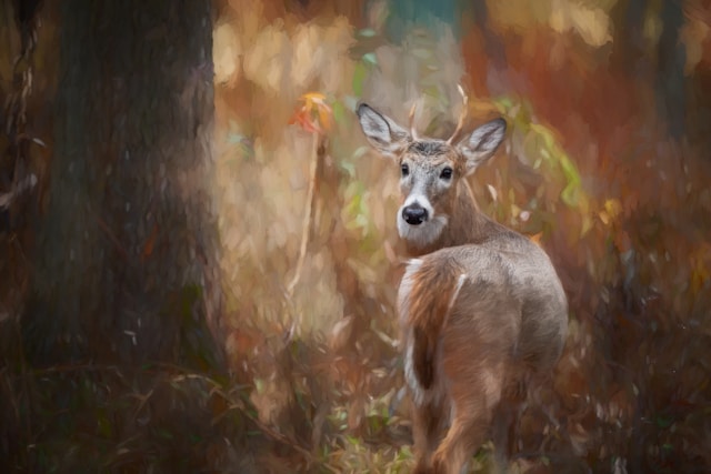 Ζωγραφιές με ελάφια – 10 διάσημα αριστουργήματα