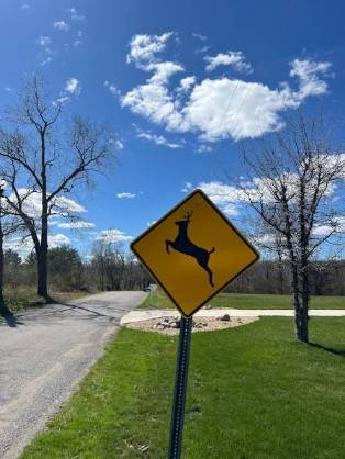 Safety Tips for Rural Driving: Navigating the Countryside with Care